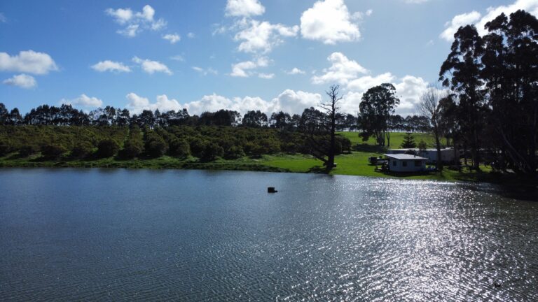 CURLY CREEK FARM gallery