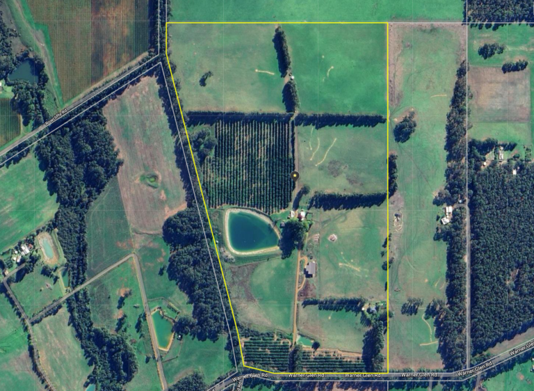 CURLY CREEK FARM gallery