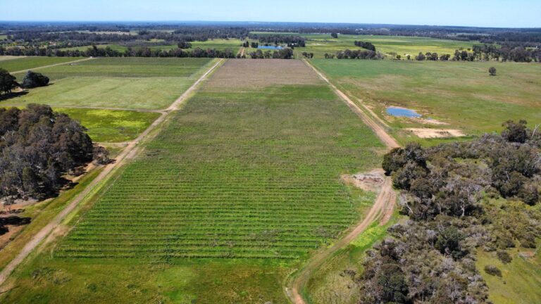 412 Jindong-Treeton Road gallery