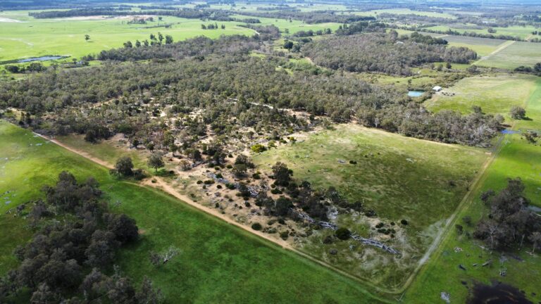 412 Jindong-Treeton Road gallery