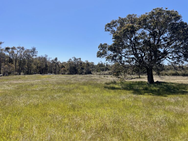 412 Jindong-Treeton Road gallery