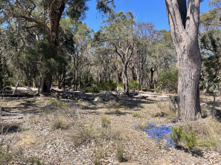 412 Jindong-Treeton Road gallery