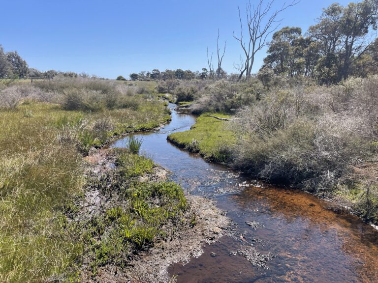 412 Jindong-Treeton Road gallery