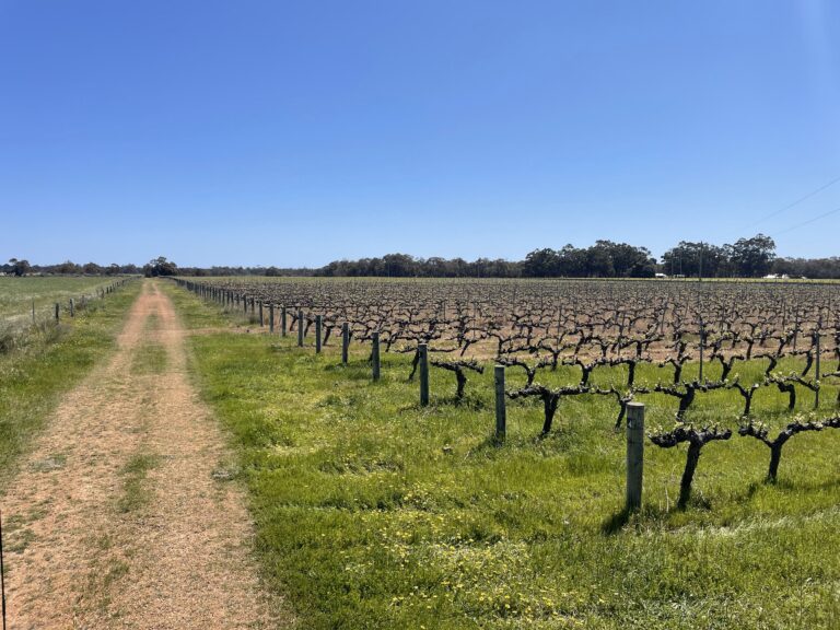 412 Jindong-Treeton Road gallery