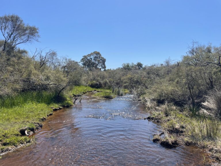 412 Jindong-Treeton Road gallery