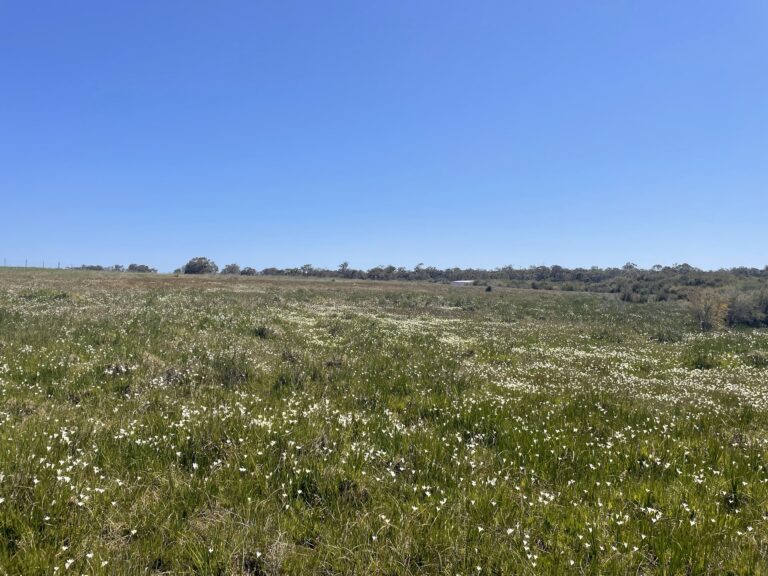 412 Jindong-Treeton Road gallery