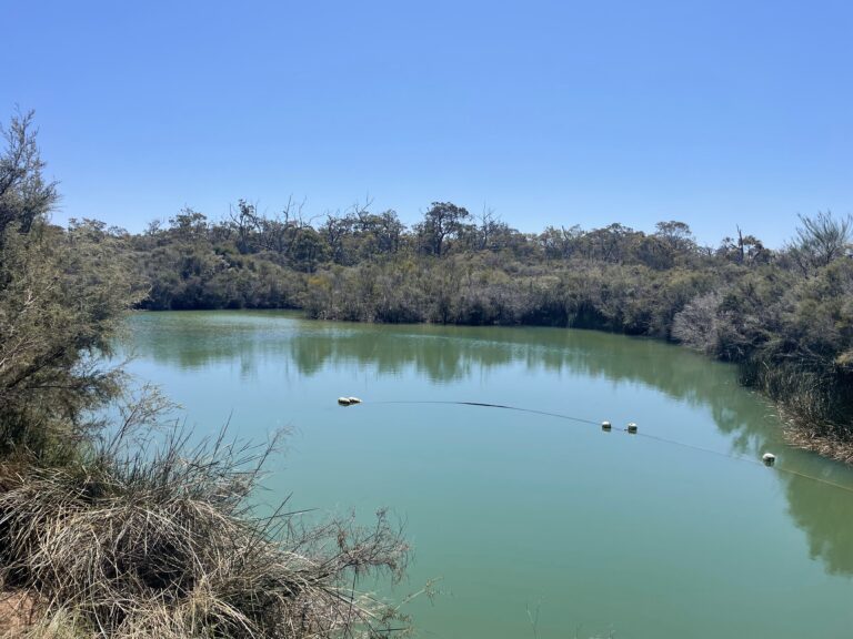 412 Jindong-Treeton Road gallery