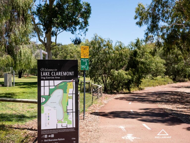 46 Strickland Street gallery