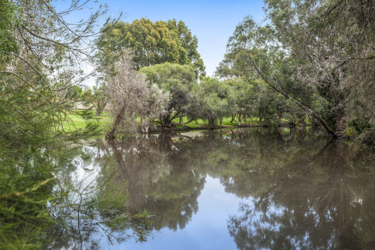 73 Elyard Crescent gallery