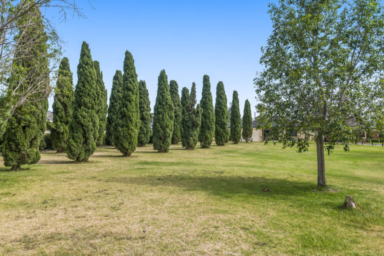 73 Elyard Crescent gallery