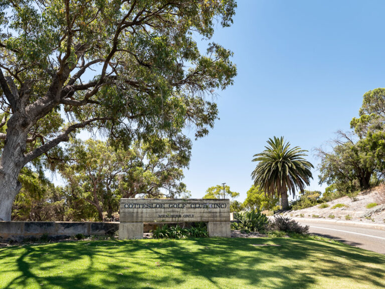 15 Adderley Street gallery