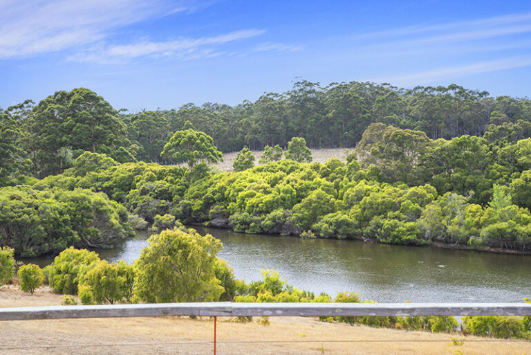 223 Sebbes Road gallery