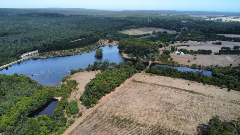 223 Sebbes Road gallery