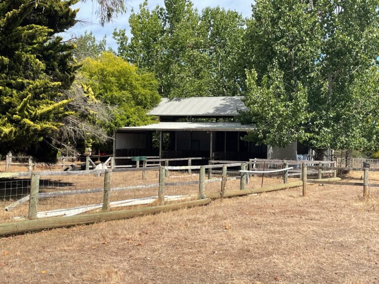 223 Sebbes Road gallery