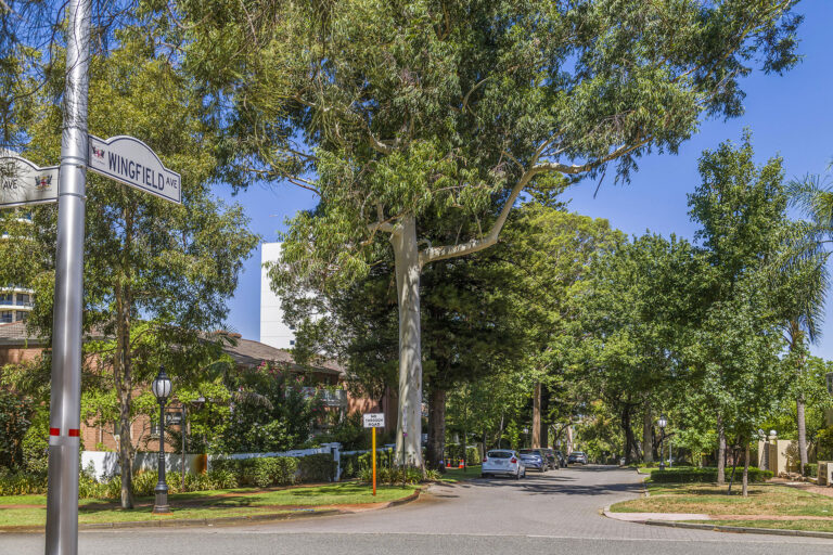 13 / 8 Wingfield Avenue gallery