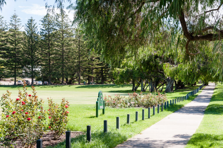 55 Lyons Street gallery