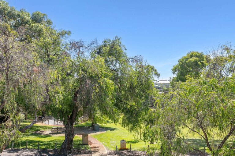 5 Mitford Street gallery