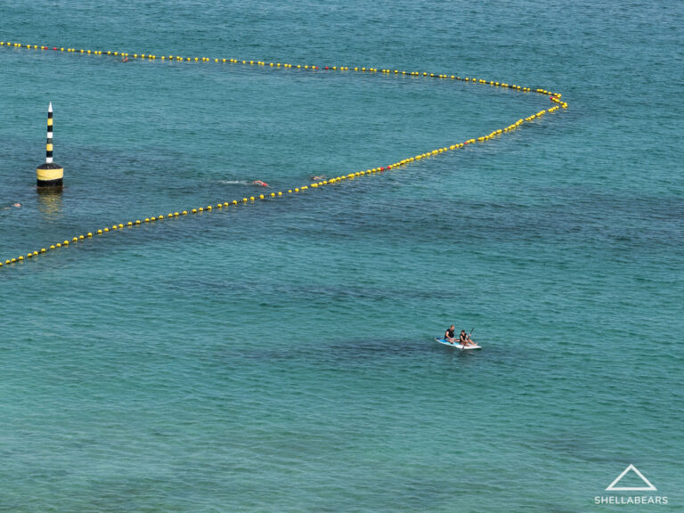 201/110 Marine Parade gallery