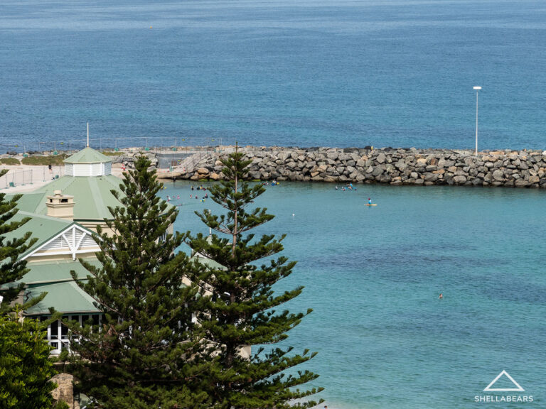 201/110 Marine Parade gallery