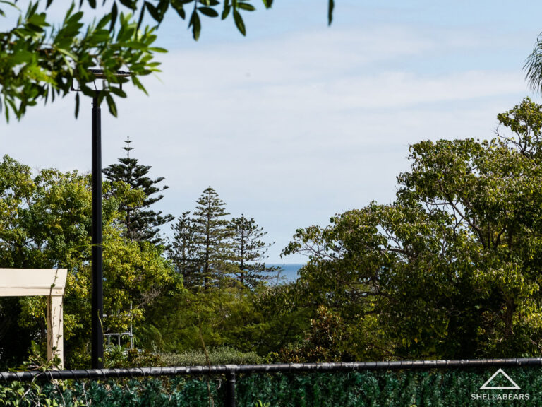 267 Marmion Street gallery