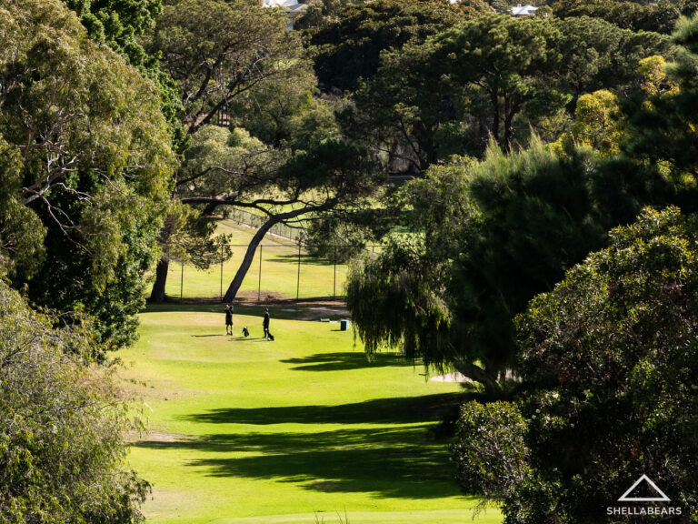 306/1 Davies Road gallery