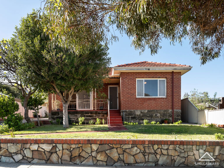 26 Livingstone Street gallery