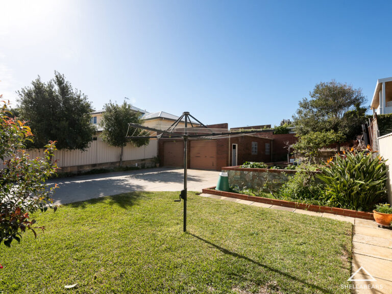 26 Livingstone Street gallery