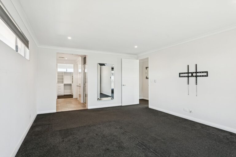 21 Cassidae Terrace gallery