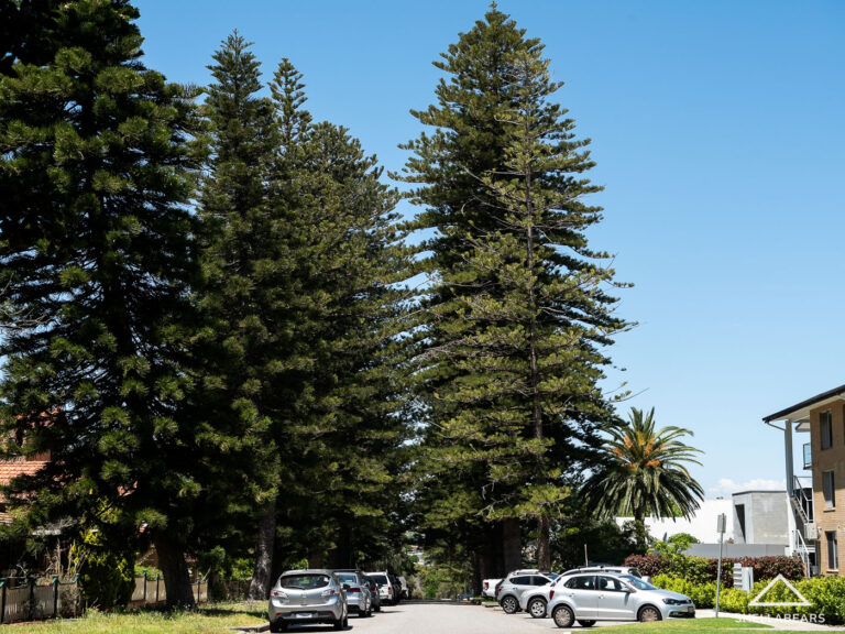 4 Loma Street gallery