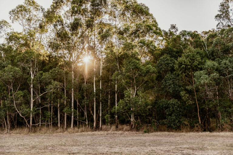 127 Jayes Road gallery