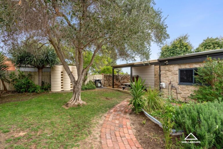 173A Carrington Street gallery
