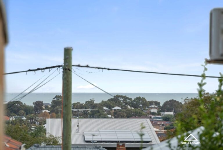 173A Carrington Street gallery