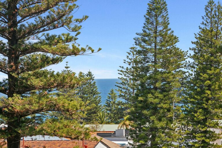 5/22 John Street gallery