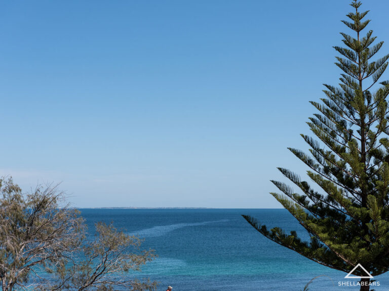 1/110 Marine Parade gallery