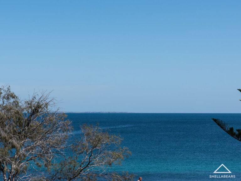 1/110 Marine Parade gallery