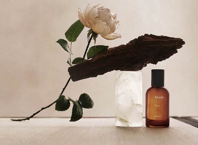 Rozu by Aesop: An Ode to the Modern Rose – Shop Monde