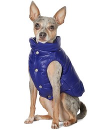 Blue Poldo Dog Couture Edition Mondog Jacket