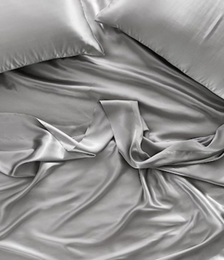 Pure Silk Silver Sheet Set