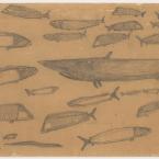 Fish and sharks, c 1880