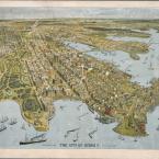 The City of Sydney [a bird's-eye view]