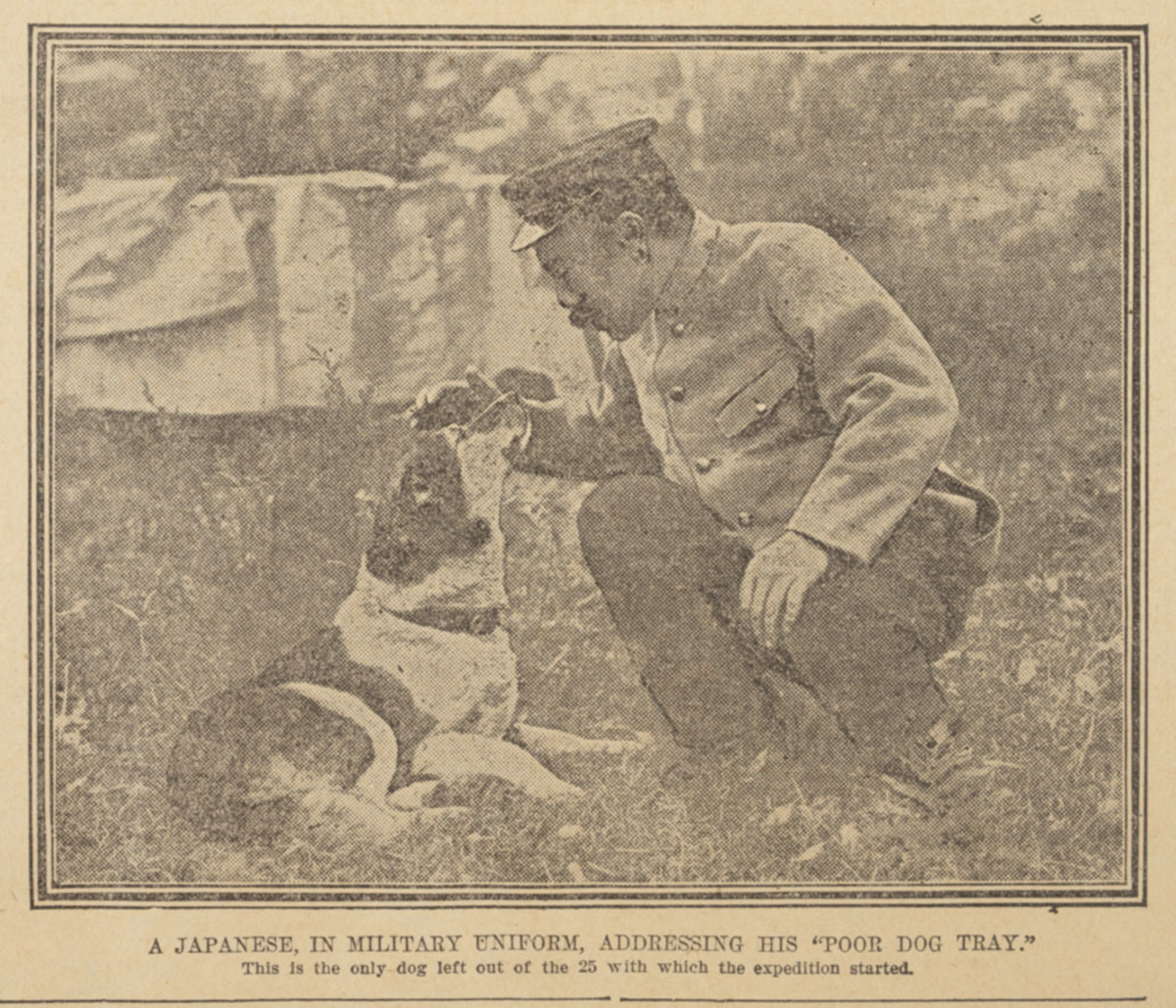 A member of the Japanese expedition in the camp at Parsley Bay soon after arrival with the expedition's only surviving dog, Daily Telegraph, 13 May 1911, p15