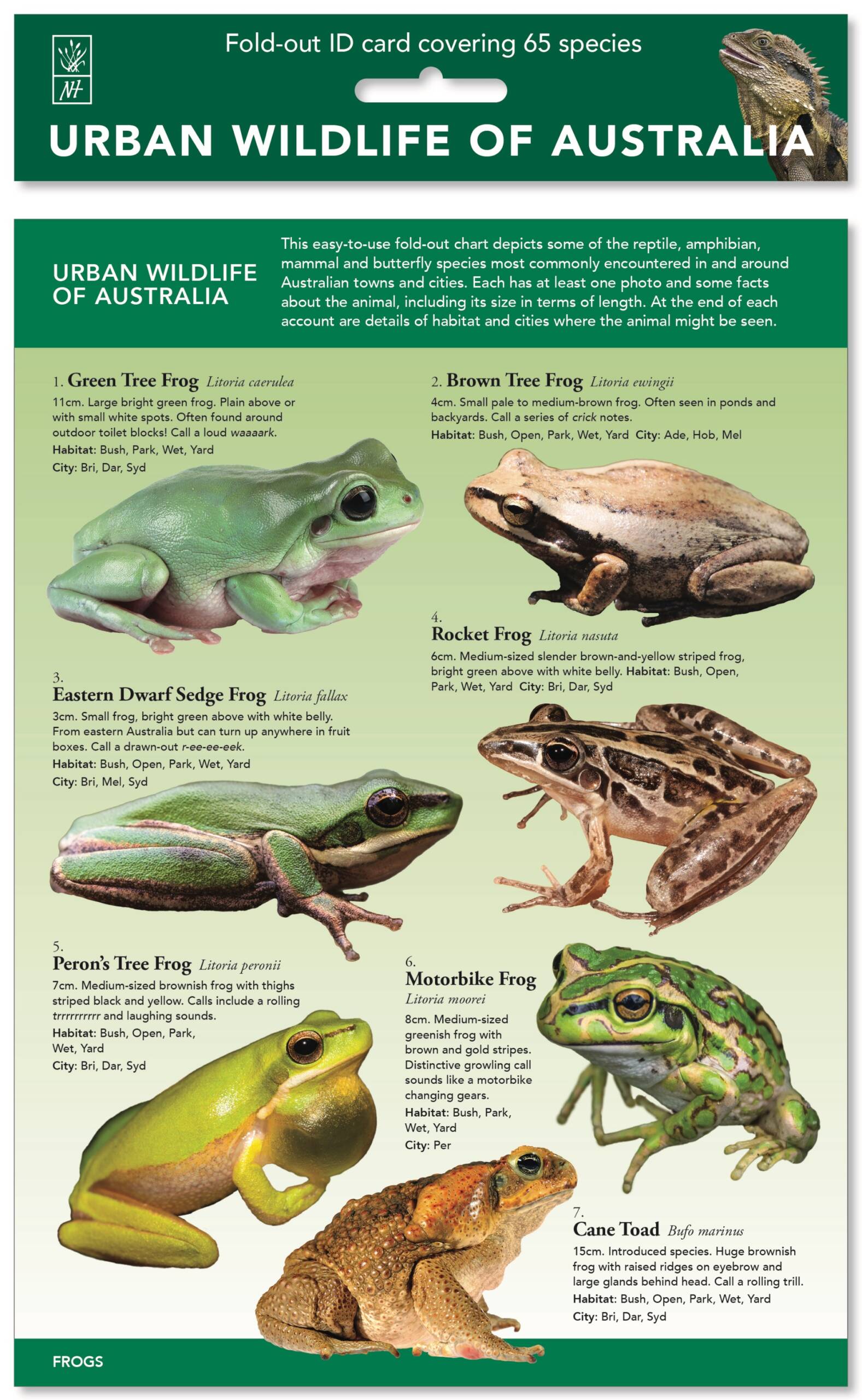 Urban Wildlife of Australia Fold Out ID Chart - Library Shop