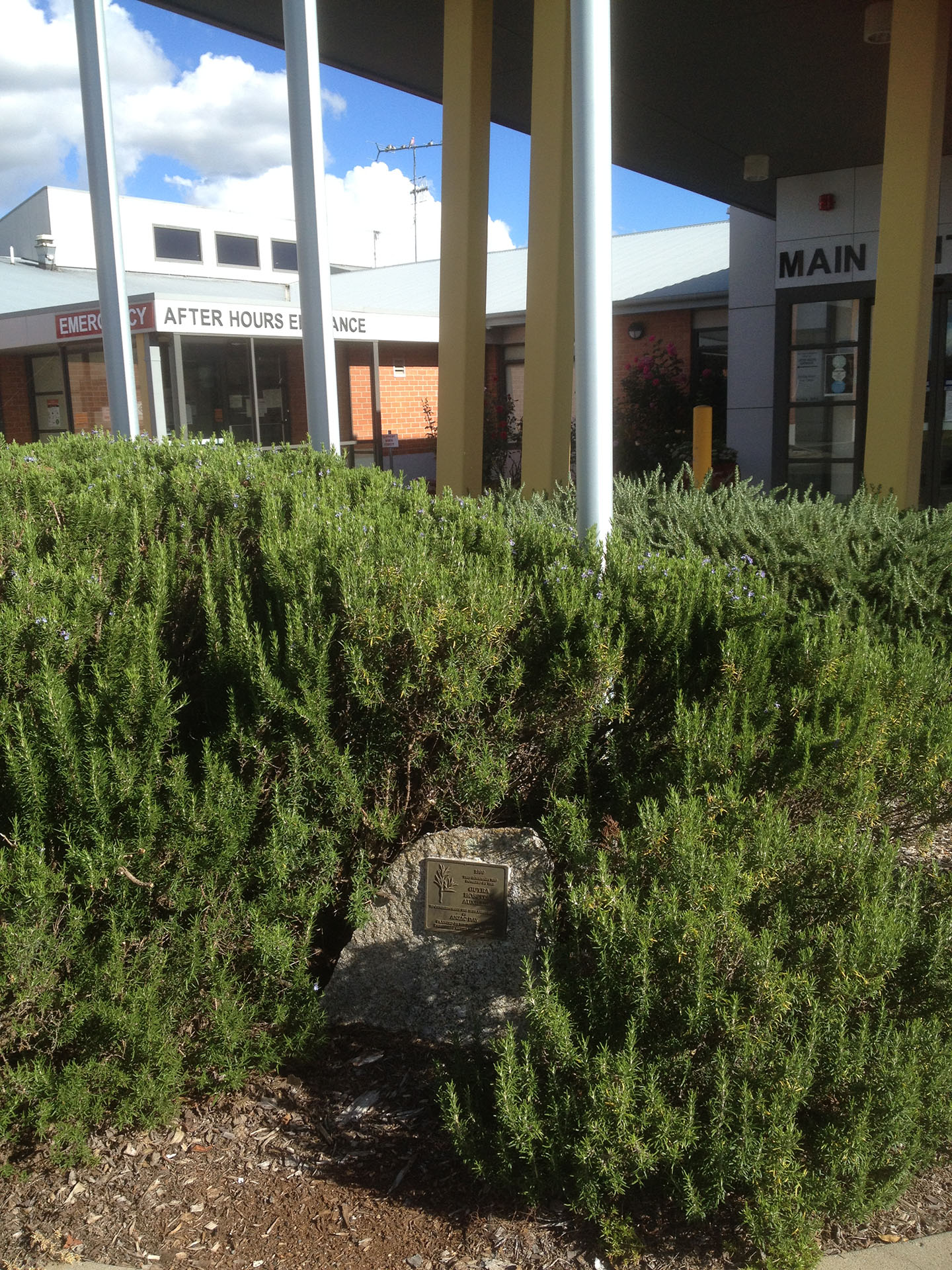 Guyra and District War Memorial Hospital, rosemary garden