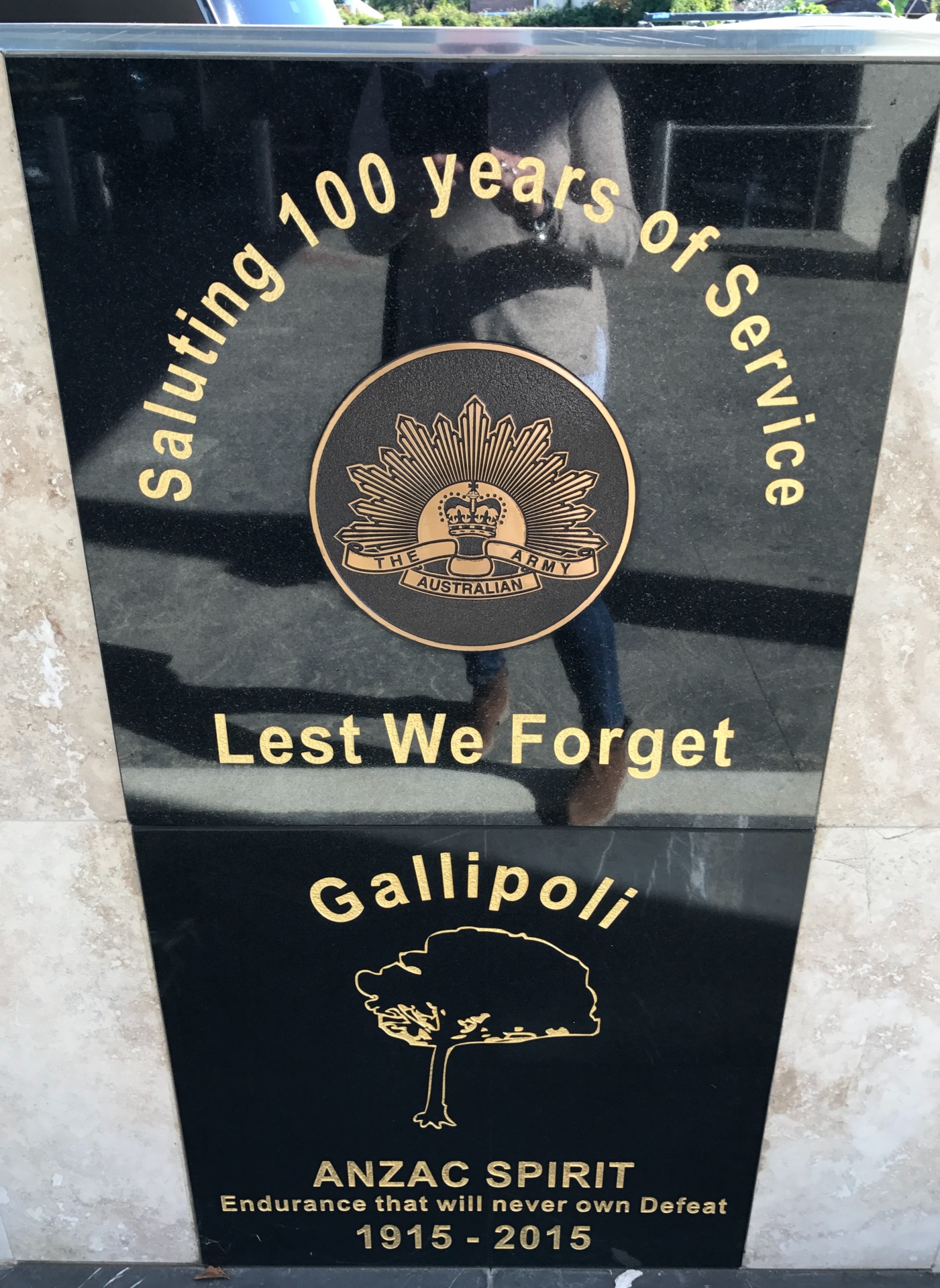 Wauchope RSL Centenary Memorial Wall, Saluting their Service plaque