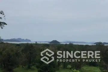 Land for Sale in Paklok, Phuket
