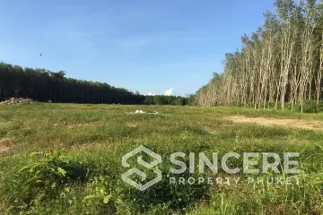 Land for Sale in Cherngtalay, Phuket