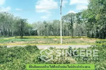 Land for Sale in Thalang, Phuket