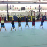 June 2017 Newsletter