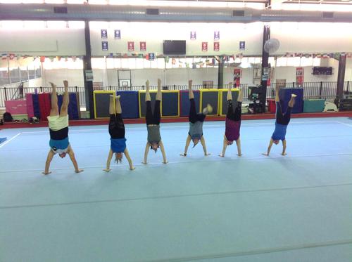 June 2017 Newsletter