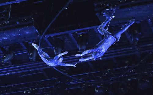 Nick Hutchinson - Gymnastics